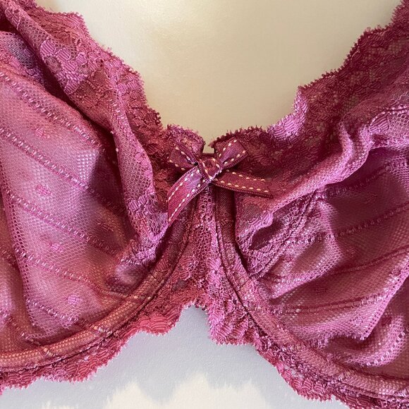 Chantelle Bra 38D Cardinal Lace Rive Gauche - Picture 2 of 5